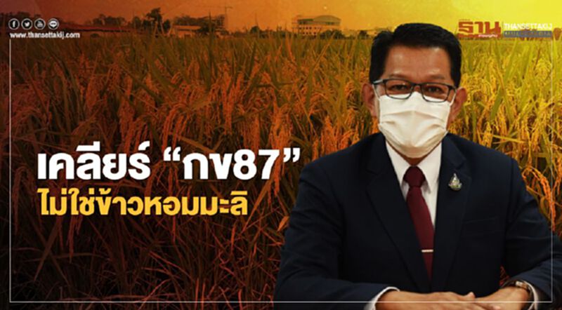 เคลียร์ “กข87” ไม่ใช่ข้าวหอมมะลิ เคลียร์ “กข87” ไม่ใช่ข้าวหอมมะลิ