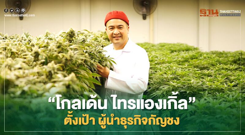 ธุรกิจกัญชงบูม  'โกลเด้น ไทรแองเกิ้ล'  ตั้งเป้า เป็นผู้นำทางธุรกิจ  