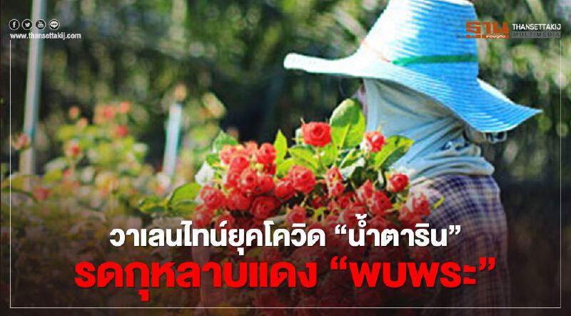 วาเลนไทน์ยุคโควิด"น้ำตาริน"รดกุหลาบแดง"พบพระ"