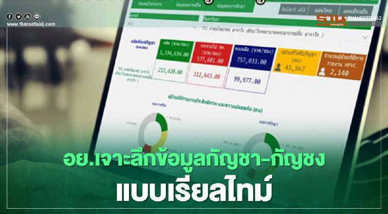 อย.เจาะลึกข้อมูลกัญชา-กัญชง แบบเรียลไทม์ อย.เจาะลึกข้อมูลกัญชา-กัญชง แบบเรียลไทม์