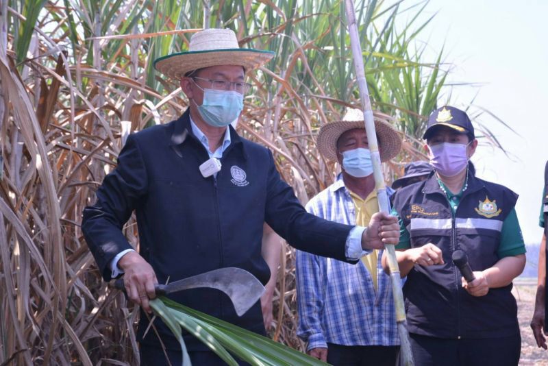ศกพ. ลงพื้นที่ อุทัยธานี  ลุยแก้ปัญหา อ้อยไฟไหม้ ลดฝุ่น PM2.5