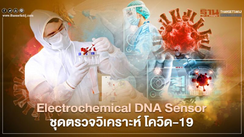 Electrochemical DNA Sensor ชุดตรวจวิเคราะห์ โควิด-19 Electrochemical DNA Sensor ชุดตรวจวิเคราะห์ โควิด-19
