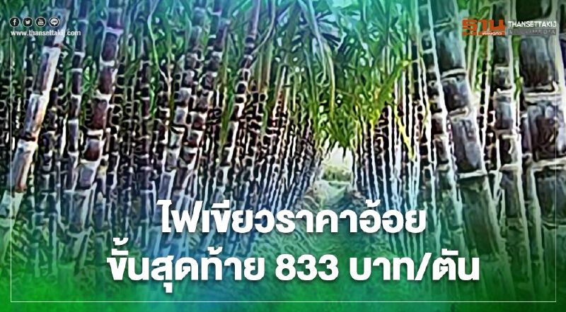 ครม.ไฟเขียวราคาอ้อยขั้นสุดท้าย ฤดูกาลผลิตปี 62/63 อัตรา 833 บาทต่อตัน