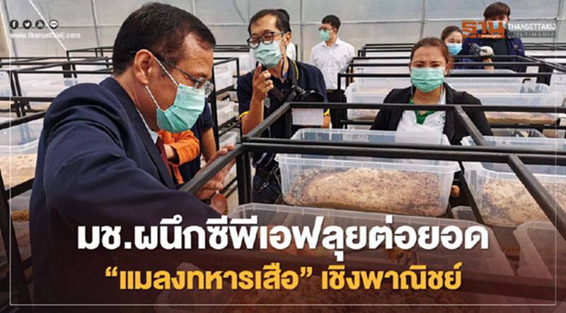 มช.ผนึกซีพีเอฟลุยต่อยอด “แมลงทหารเสือ”เชิงพาณิชย์ มช.ผนึกซีพีเอฟลุยต่อยอด “แมลงทหารเสือ”เชิงพาณิชย์