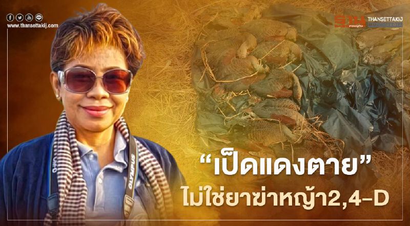 “เป็ดแดงตาย” ไม่ใช่ยาฆ่าหญ้า2,4-D “เป็ดแดงตาย” ไม่ใช่ยาฆ่าหญ้า2,4-D