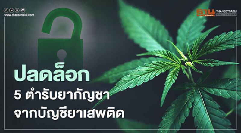 ปลดล็อก 5 ตำรับยากัญชา จากบัญชียาเสพติด ดีเดย์ยื่นขอผลิต 16 ก.พ.นี้ ปลดล็อก 5 ตำรับยากัญชา จากบัญชียาเสพติด ดีเดย์ยื่นขอผลิต 16 ก.พ.นี้