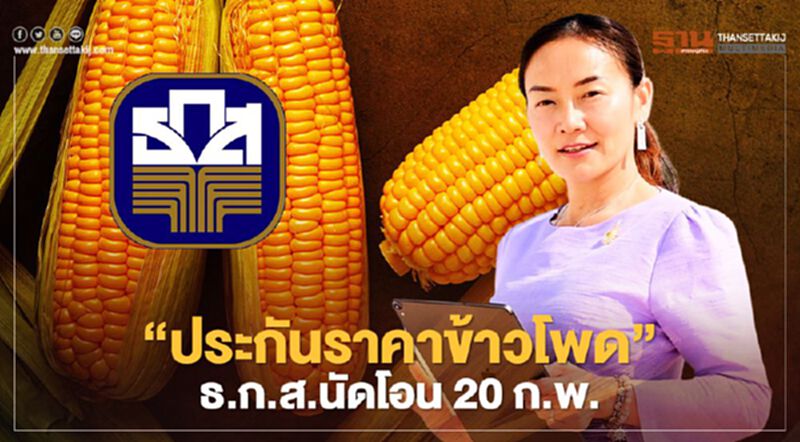 “ประกันราคาข้าวโพด” ธ.ก.ส.นัดโอน 20 ก.พ. “ประกันราคาข้าวโพด” ธ.ก.ส.นัดโอน 20 ก.พ.