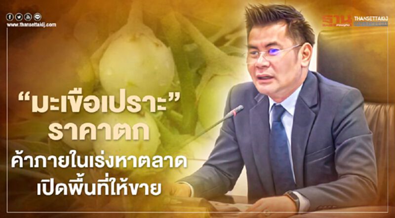 “มะเขือเปราะ”ราคาตก ค้าภายในเร่งประสานตลาดเปิดพื้นที่ให้ขาย “มะเขือเปราะ”ราคาตก ค้าภายในเร่งประสานตลาดเปิดพื้นที่ให้ขาย