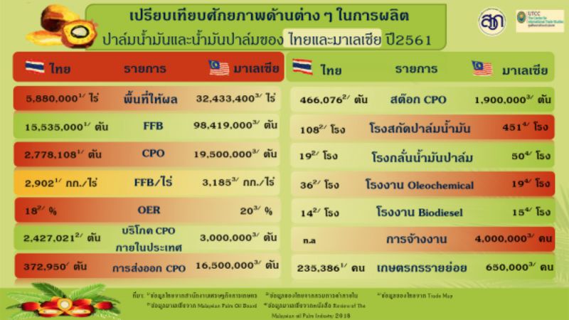 “ราคาปาล์มเท่าไร?”   จึงโดนใจอุตสาหกรรมปาล์มน้ำมัน