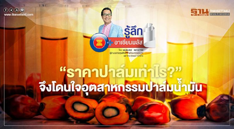 “ราคาปาล์มเท่าไร?” จึงโดนใจอุตสาหกรรมปาล์มน้ำมัน “ราคาปาล์มเท่าไร?” จึงโดนใจอุตสาหกรรมปาล์มน้ำมัน
