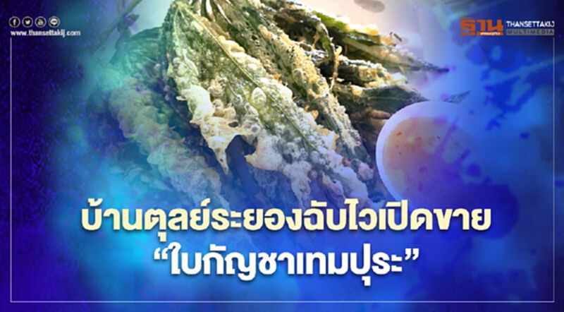 แน่นร้าน บ้านตุลย์ระยองฉับไวเปิดขาย"ใบกัญชาเทมปุระ" แน่นร้าน บ้านตุลย์ระยองฉับไวเปิดขาย"ใบกัญชาเทมปุระ"