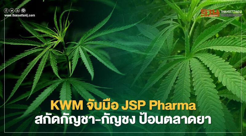 KWM จับมือ JSP Pharma สกัดกัญชา-กัญชง ป้อนตลาดยา เปิดทาง SME เข้าถึงธุรกิจ