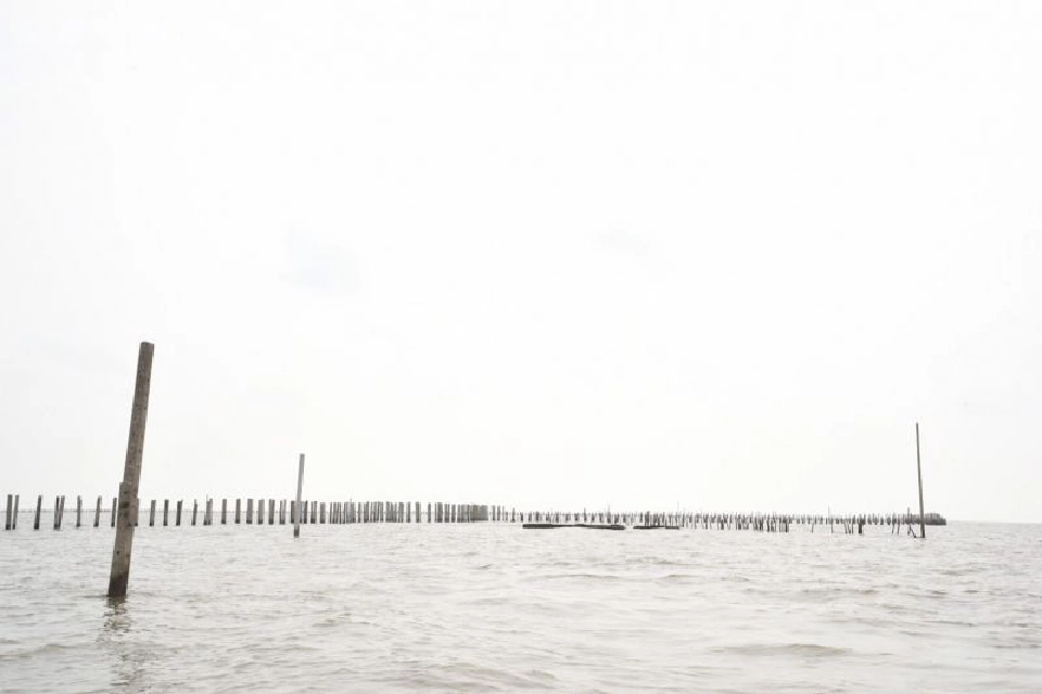 MEA เดินหน้าส่งมอบเสาไฟ สร้างแนวป้องกันคลื่นชายฝั่งป้อมพระจุลฯ