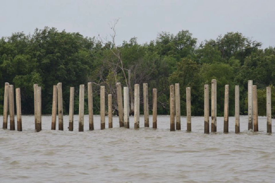 MEA เดินหน้าส่งมอบเสาไฟ สร้างแนวป้องกันคลื่นชายฝั่งป้อมพระจุลฯ