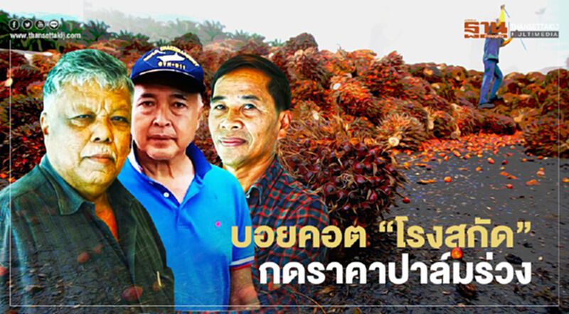 บอยคอต “โรงสกัด” กดราคาปาล์มร่วง บอยคอต “โรงสกัด” กดราคาปาล์มร่วง