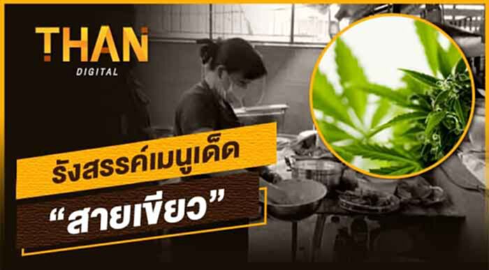 เมนูเด็ดจาก "กัญชา" ที่สายกินห้ามพลาด เมนูเด็ดจาก "กัญชา" ที่สายกินห้ามพลาด