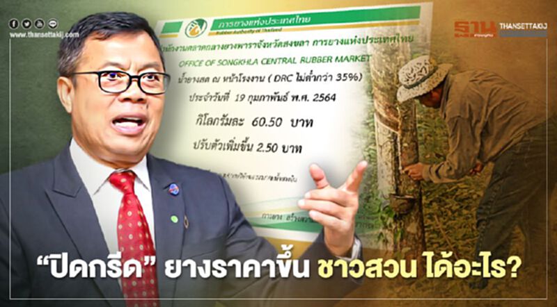 “ปิดกรีด” ยางราคาขึ้น ชาวสวน ได้อะไร? “ปิดกรีด” ยางราคาขึ้น ชาวสวน ได้อะไร?