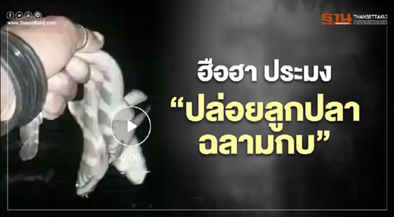 ฮือฮา ประมง “ปล่อยลูกปลาฉลามกบ” (มีคลิป) ฮือฮา ประมง “ปล่อยลูกปลาฉลามกบ” (มีคลิป)