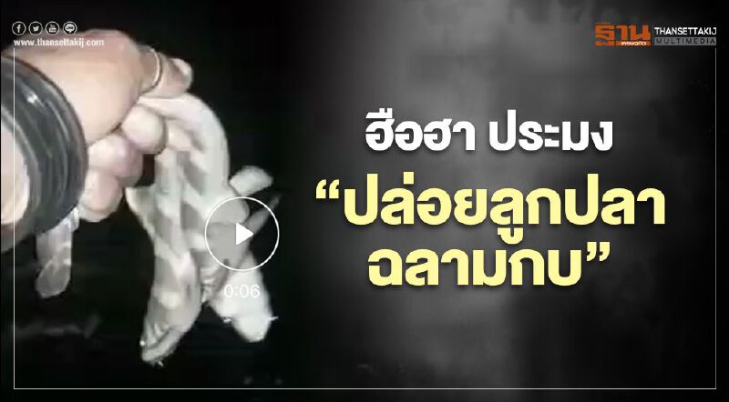 ฮือฮา ประมง “ปล่อยลูกปลาฉลามกบ” (มีคลิป) ฮือฮา ประมง “ปล่อยลูกปลาฉลามกบ” (มีคลิป)