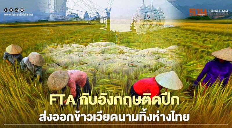 FTA กับอังกฤษติดปีก ส่งออกข้าวเวียดนามทิ้งห่างไทย