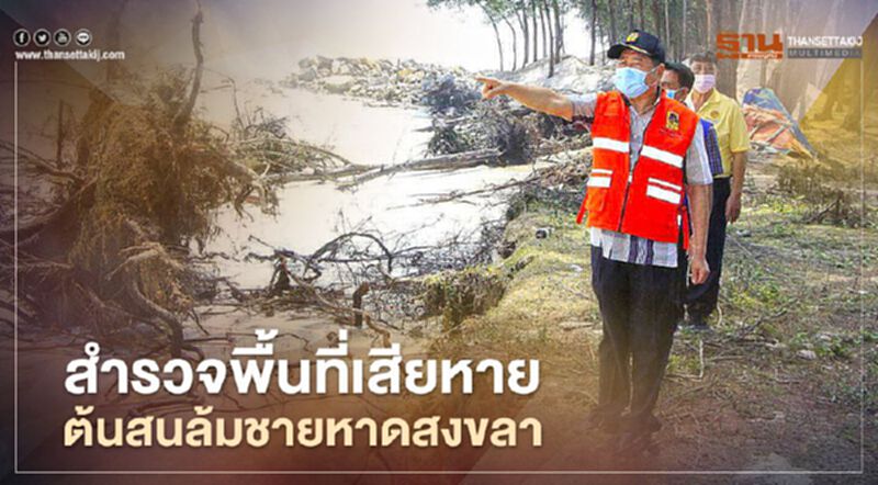 “นิพนธ์”รุดสำรวจพื้นที่เสียหายต้นสนล้มชายหาดสงขลา “นิพนธ์”รุดสำรวจพื้นที่เสียหายต้นสนล้มชายหาดสงขลา
