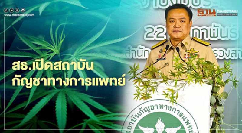 สธ.เปิดสถาบันกัญชาทางการแพทย์ ศูนย์กลางความร่วมมือด้านกัญชา กัญชง สธ.เปิดสถาบันกัญชาทางการแพทย์ ศูนย์กลางความร่วมมือด้านกัญชา กัญชง
