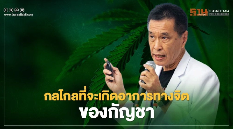 หมอธีระวัฒน์ไขข้อสงสัยกลไกที่จะเกิดอาการทางจิตของกัญชา