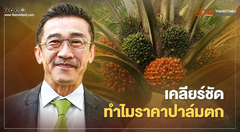 เคลียร์ชัด ทำไมปาล์มราคาตก