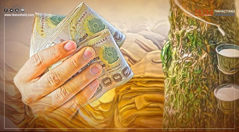 ตรวจสอบเงินประกันรายได้เกษตรกร “ประกันราคายาง” วุ่น งบไม่พอ 4,000 ล้าน ตรวจสอบเงินประกันรายได้เกษตรกร “ประกันราคายาง” วุ่น งบไม่พอ 4,000 ล้าน