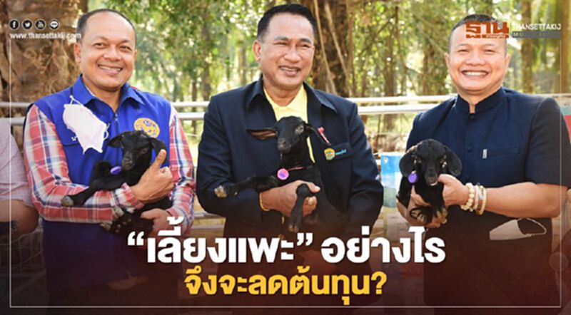 “เลี้ยงแพะ” อย่างไร จึงจะลดต้นทุน? “เลี้ยงแพะ” อย่างไร จึงจะลดต้นทุน?