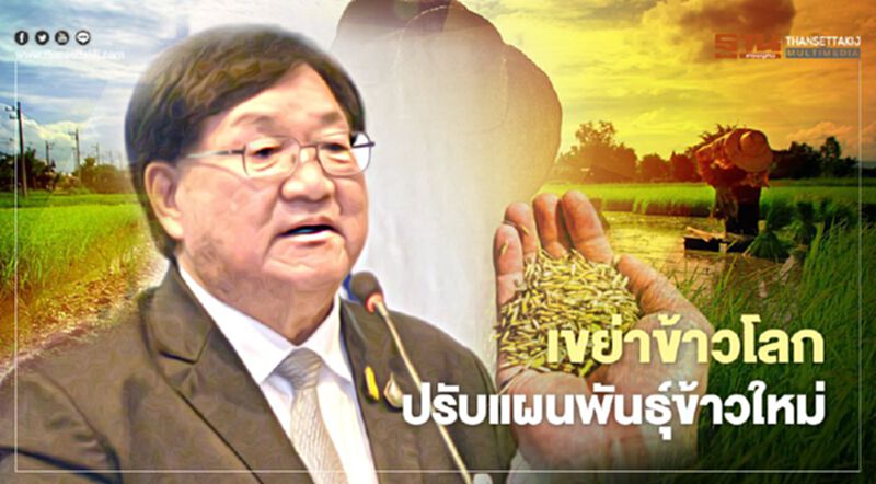เขย่าข้าวโลก ปรับแผนพันธุ์ข้าวใหม่ เขย่าข้าวโลก ปรับแผนพันธุ์ข้าวใหม่