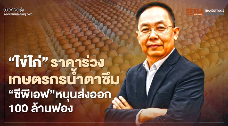 “ไข่ไก่”ราคาร่วงเกษตรกรน้ำตาซึม “ซีพีเอฟ”หนุนส่งออก 100 ล้านฟอง