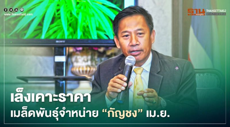 เล็งเคาะราคาเมล็ดพันธุ์จำหน่าย “กัญชง” เม.ย. เล็งเคาะราคาเมล็ดพันธุ์จำหน่าย “กัญชง” เม.ย.