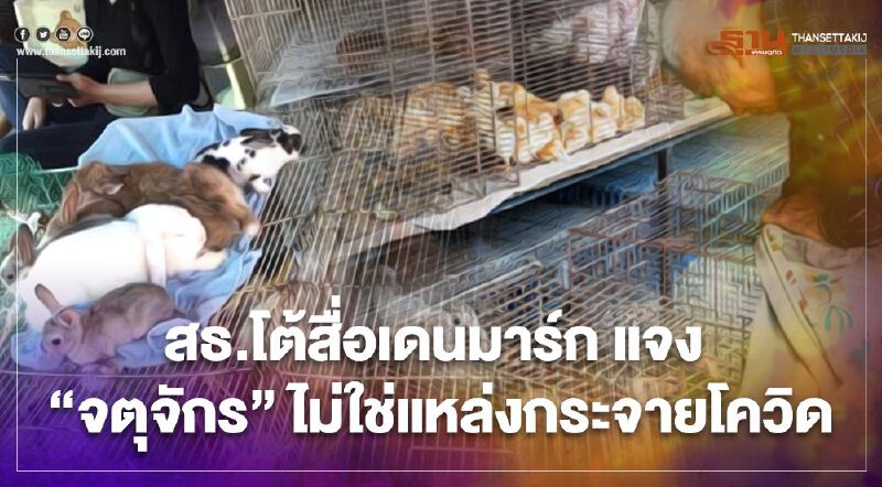 สธ.โต้สื่อเดนมาร์กลือแรง กล่าวหา “ตลาดสวนจตุจักร” ต้นตอกระจายไวรัสโควิดไปอู่ฮั่น 