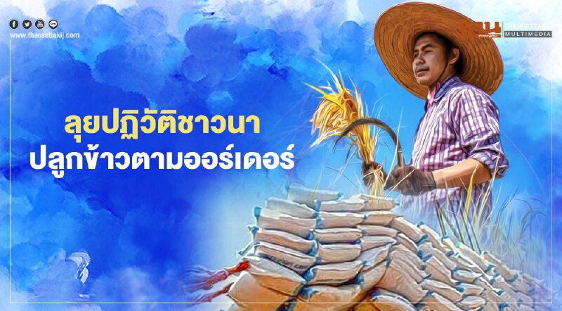 ลุยปฏิวัติชาวนา ปลูกข้าวตามออร์เดอร์ ดึง 5 หมื่นไร่ร่วมวง