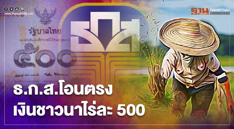 เงินช่วยเหลือชาวนาไร่ละ500 ธ.ก.ส.โอนตรงถึงเกษตรกร 4.56 ล้านครัวเรือน