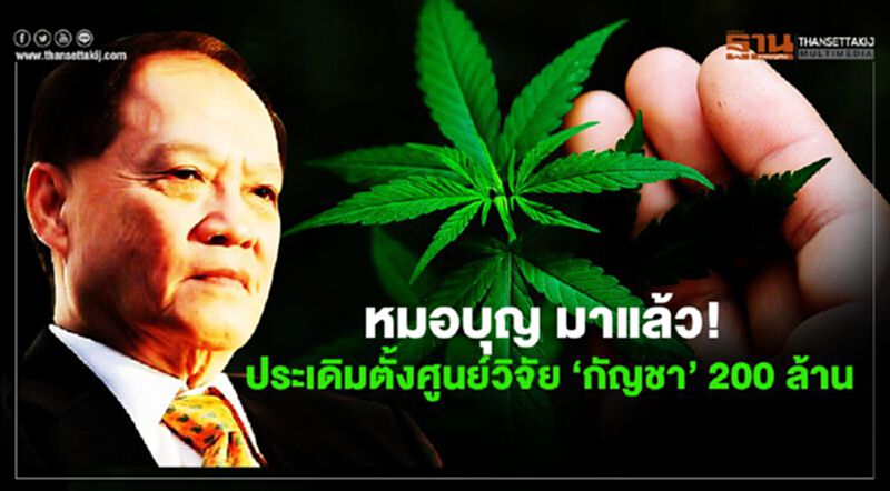 หมอบุญ มาแล้ว! ประเดิมตั้งศูนย์วิจัย‘กัญชา’ 200 ล้าน หมอบุญ มาแล้ว! ประเดิมตั้งศูนย์วิจัย‘กัญชา’ 200 ล้าน