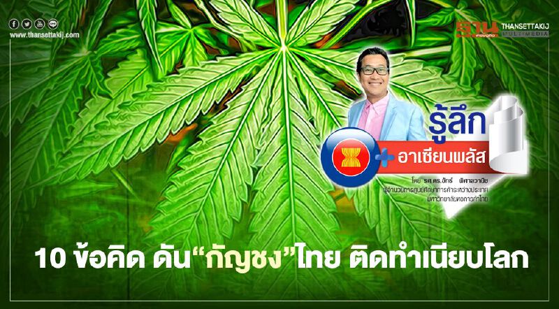 10 ข้อคิด ดัน “กัญชง”ไทย ติดทำเนียบโลก