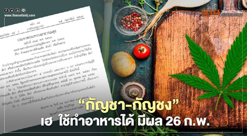 “กัญชา-กัญชง” ใช้ทำอาหารได้ มีผล 26 ก.พ. “กัญชา-กัญชง” ใช้ทำอาหารได้ มีผล 26 ก.พ.