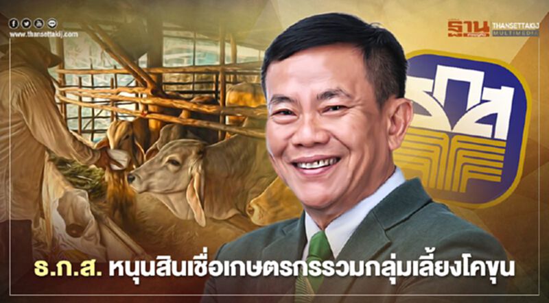 ธ.ก.ส. หนุนสินเชื่อเกษตรกรรวมกลุ่มเลี้ยงโคขุน ธ.ก.ส. หนุนสินเชื่อเกษตรกรรวมกลุ่มเลี้ยงโคขุน