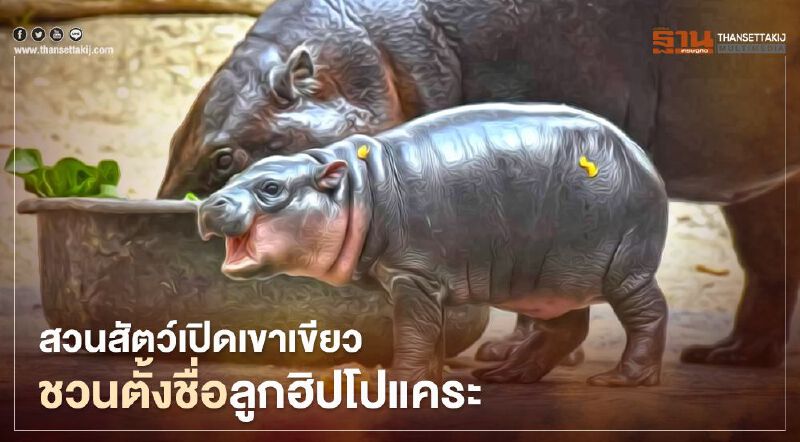 สวนสัตว์เปิดเขาเขียวแนะนำสมาชิกใหม่ พร้อมชวนตั้งชื่อชิงเงินรางวัล