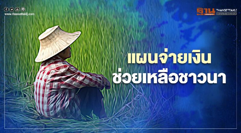  เงินช่วยเหลือชาวนาไร่ละ500 เปิดแผนจ่ายเงินเดือนมี.ค. เริ่มโอนเงินวันไหนเช็กที่นี่