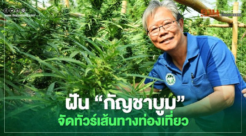 ฝัน "กัญชาบูม" จัดทัวร์เส้นทางท่องเที่ยว