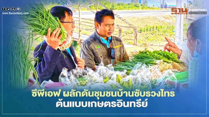 ซีพีเอฟ ผลักดันชุมชนบ้านซับรวงไทรต้นแบบเกษตรอินทรีย์ 