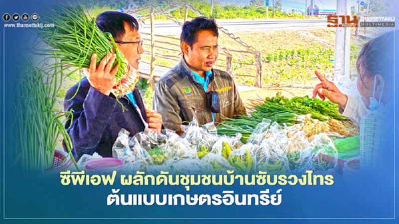 ซีพีเอฟ ผลักดันชุมชนบ้านซับรวงไทรต้นแบบเกษตรอินทรีย์ ซีพีเอฟ ผลักดันชุมชนบ้านซับรวงไทรต้นแบบเกษตรอินทรีย์