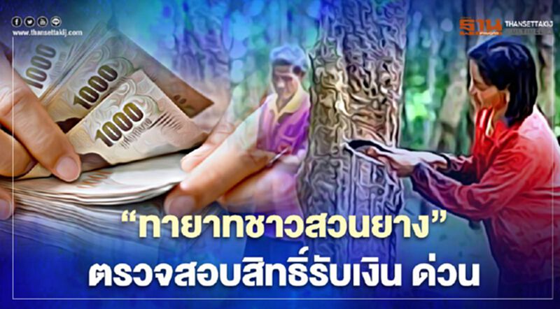 “ทายาทชาวสวนยาง” ตรวจสอบสิทธิ์ รับเงิน "ประกันรายได้เกษตรกร" ด่วน “ทายาทชาวสวนยาง” ตรวจสอบสิทธิ์ รับเงิน "ประกันรายได้เกษตรกร" ด่วน