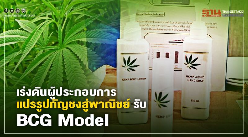 กระทรวงอุตสาหกรรมเล็งดันไทยศูนย์กลางแปรรูปกัญชงอาเซียนใน 5 ปี