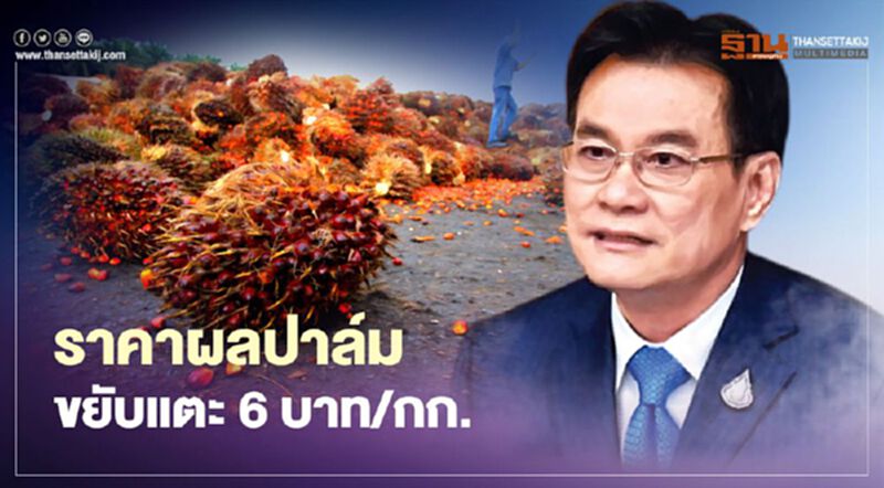 ราคาผลปาล์มขยับแตะสูงสุด 6 บาท/กก. ราคาผลปาล์มขยับแตะสูงสุด 6 บาท/กก.