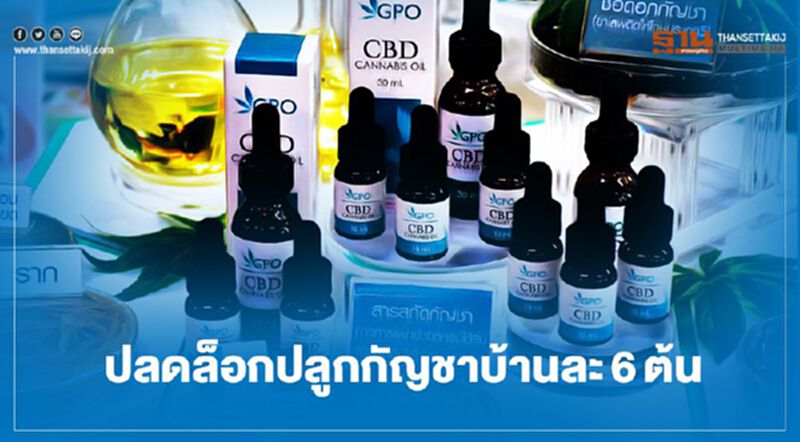 สธ.ปลดล็อกปลูกกัญชาบ้านละ 6 ต้นได้จริง สธ.ปลดล็อกปลูกกัญชาบ้านละ 6 ต้นได้จริง