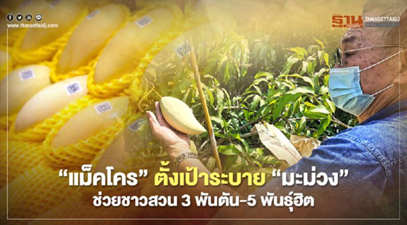 “แม็คโคร”ตั้งเป้าระบาย “มะม่วง” ช่วยชาวสวน 3 พันตัน-5 พันธุ์ฮิต “แม็คโคร”ตั้งเป้าระบาย “มะม่วง” ช่วยชาวสวน 3 พันตัน-5 พันธุ์ฮิต